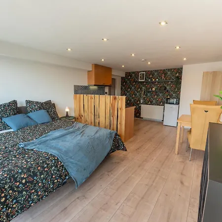 Modernes Mit Odenwald-panoramablick Apartment Brensbach